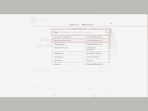 Sucheingabe mit Autocompleter